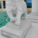 七台河 白麻花岗岩动物异形石雕-大象